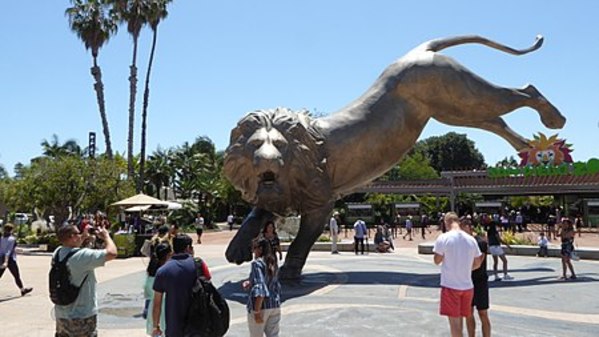 Top 10 Best Zoos In The World 2020: San_Diego_Zoo