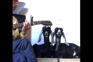 Video goats guitar Happy is the Way I Feel
