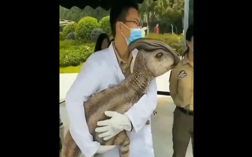 Chinese Cloned Dinosaur viral video