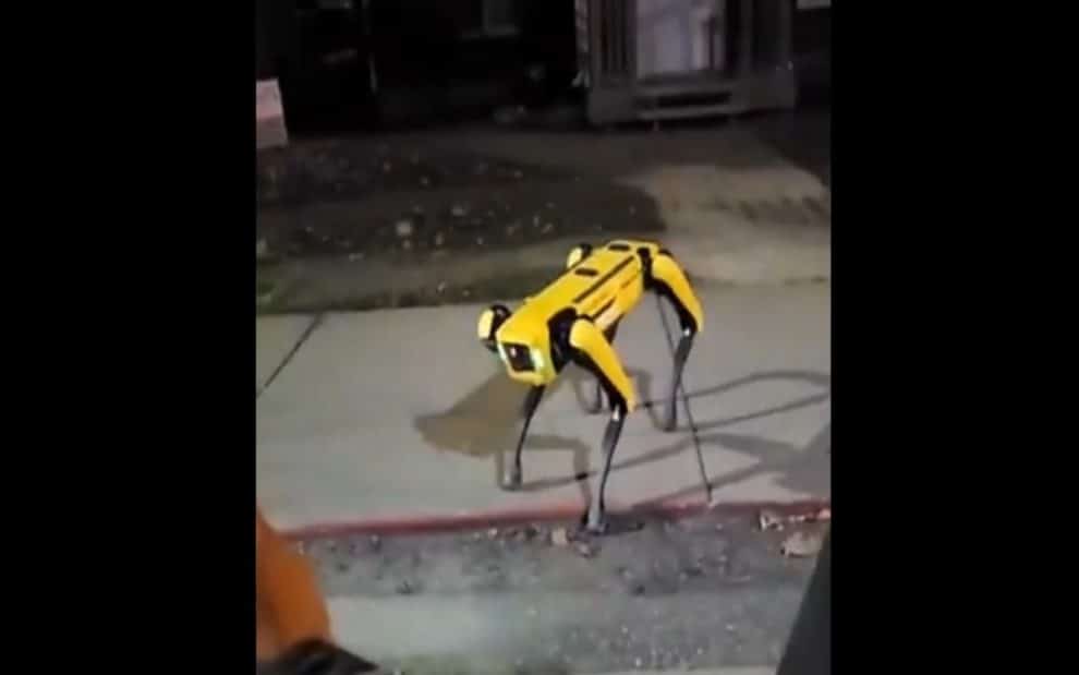 video Boston Dynamics robot dog Appear in public on street