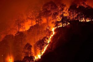 Siberia fires deaths