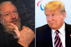 Trump pardon Julian Assange