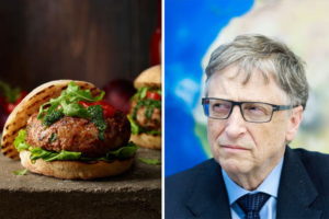 Bill Gates Synthetic Beef Rich Countries