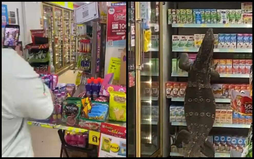 giant lizard 7-eleven supermarket