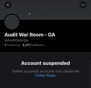 Twitter suspended Maricopa audit account