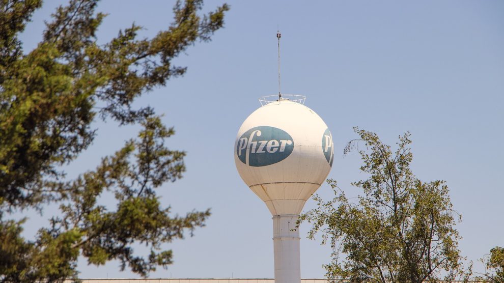 Pfizer shares tumble on disappointing 2024 profit outlook