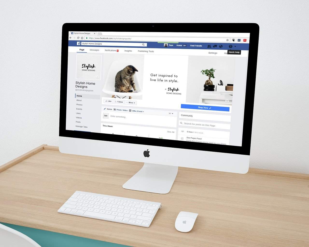 facebook chooses profit over safety