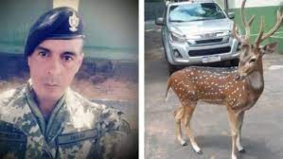 Paraguayan presidential guard killed deer