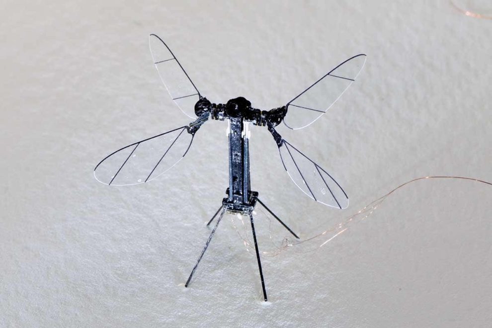 South Korea Insect-inspired Micro-robots