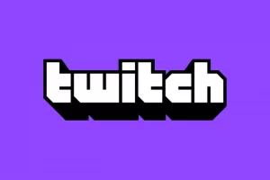 Twitch Something went wrong error