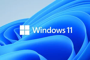 Windows 11 update Download error 0x800f0806 