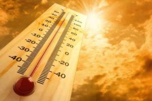2022 Europe's hottest summer