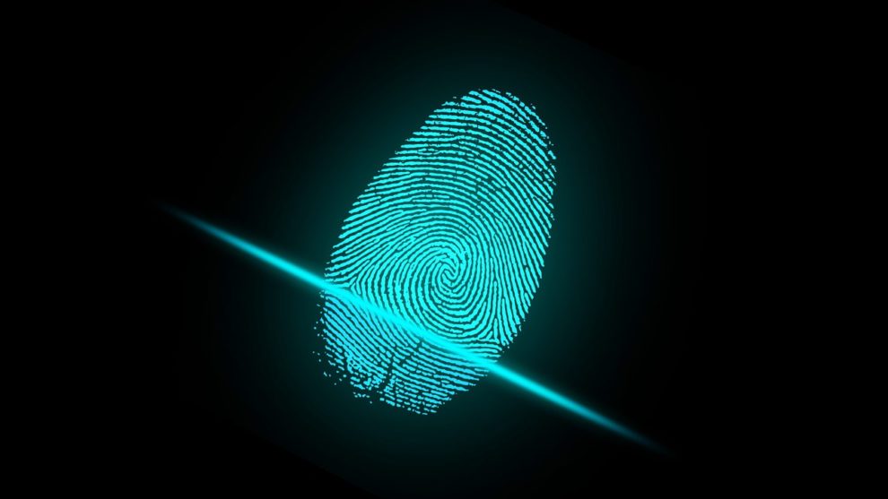 Google Pixel 6a fingerprint scanner not working Android 13