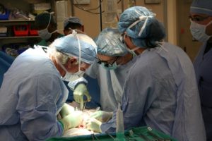 Second pig heart recipient dies six weeks after procedure