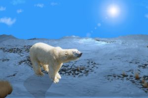 Arctic warming four times faster