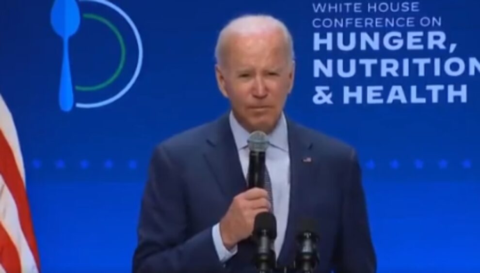 Biden calls leaders of Britain, France, Germany, Italy on Ukraine aid: W.House