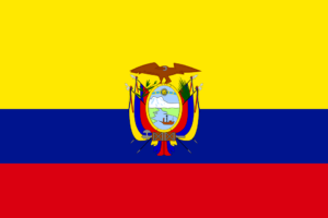 Chinese embassy in Ecuador says suspending services to public
