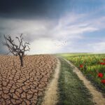 El Nino 451,000 deaths