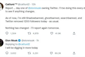 Elon Musk Twitter shadowban catturd account