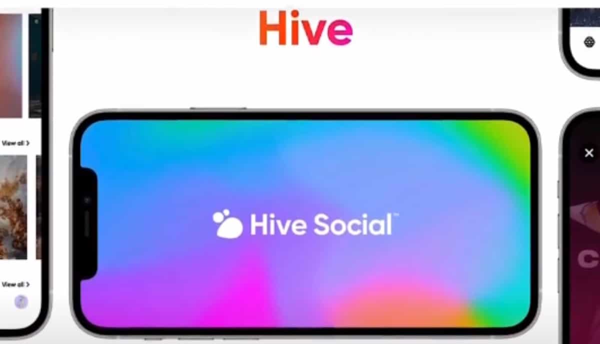 Hive Social search bar not working