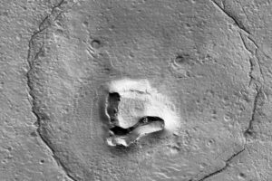 Is there life on Mars? Maybe, and it could have dropped its teddy