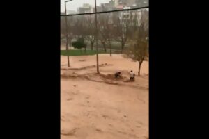 Video: Mother and child saved from flash flood in Turkey