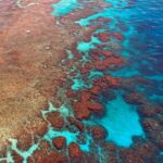 El Niño could be ‘literally off the charts,’ UN warns