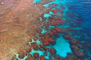 El Nino could imperil Australia's Great Barrier Reef