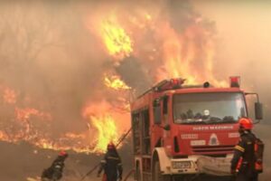 Greek summer wildfires will burn over 150,000 hectares (370,600 acres): PM