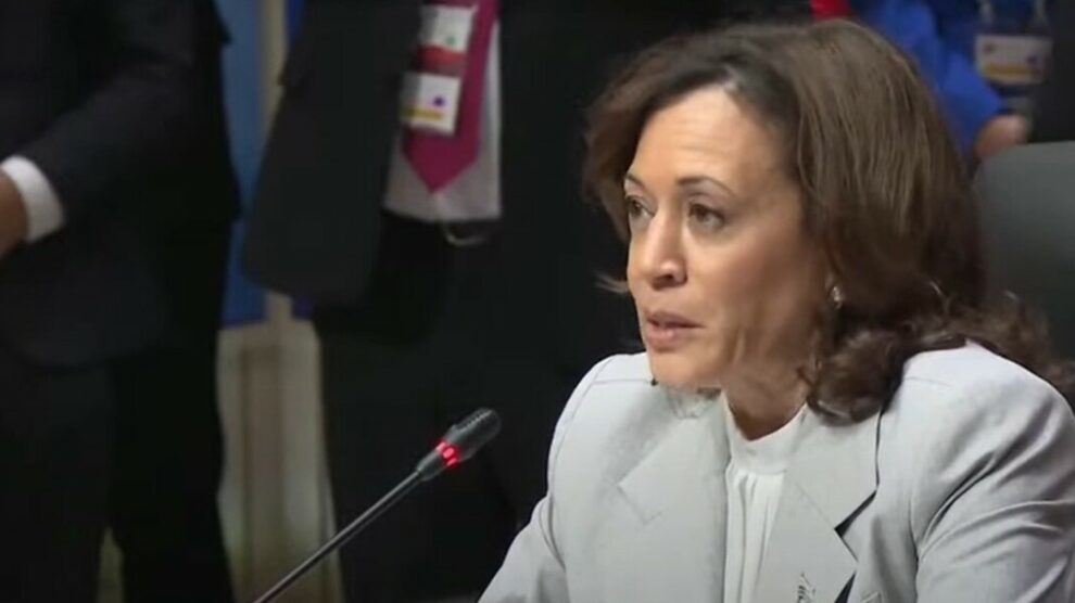 US must 'continue to lead' internationally, VP Harris vows