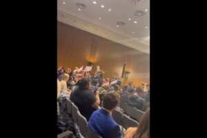 'Ceasefire now!' Protesters interrupt US congress hearing