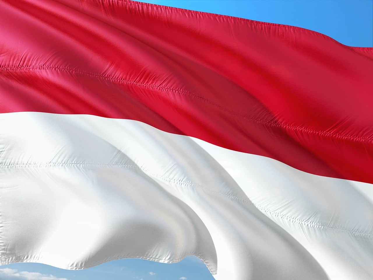 China-funded nickel hub stoking deforestation on Indonesia island: report