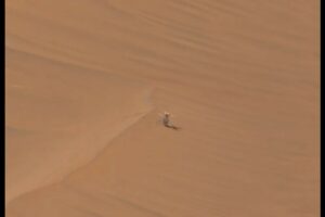 NASA Mars helicopter sends last message to Earth