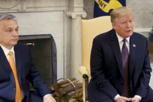 Orban says toasted Trump's win with vodka, not champagne