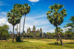 YouTubers causing monkeys to attack tourists at Cambodia's Angkor Wat
