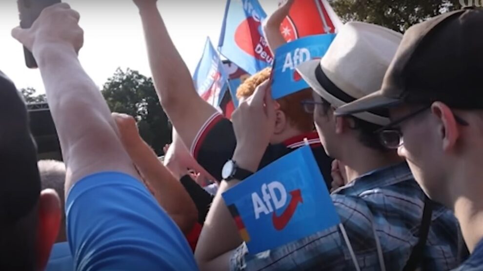 German intelligence designates AfD as right-wing extremist group