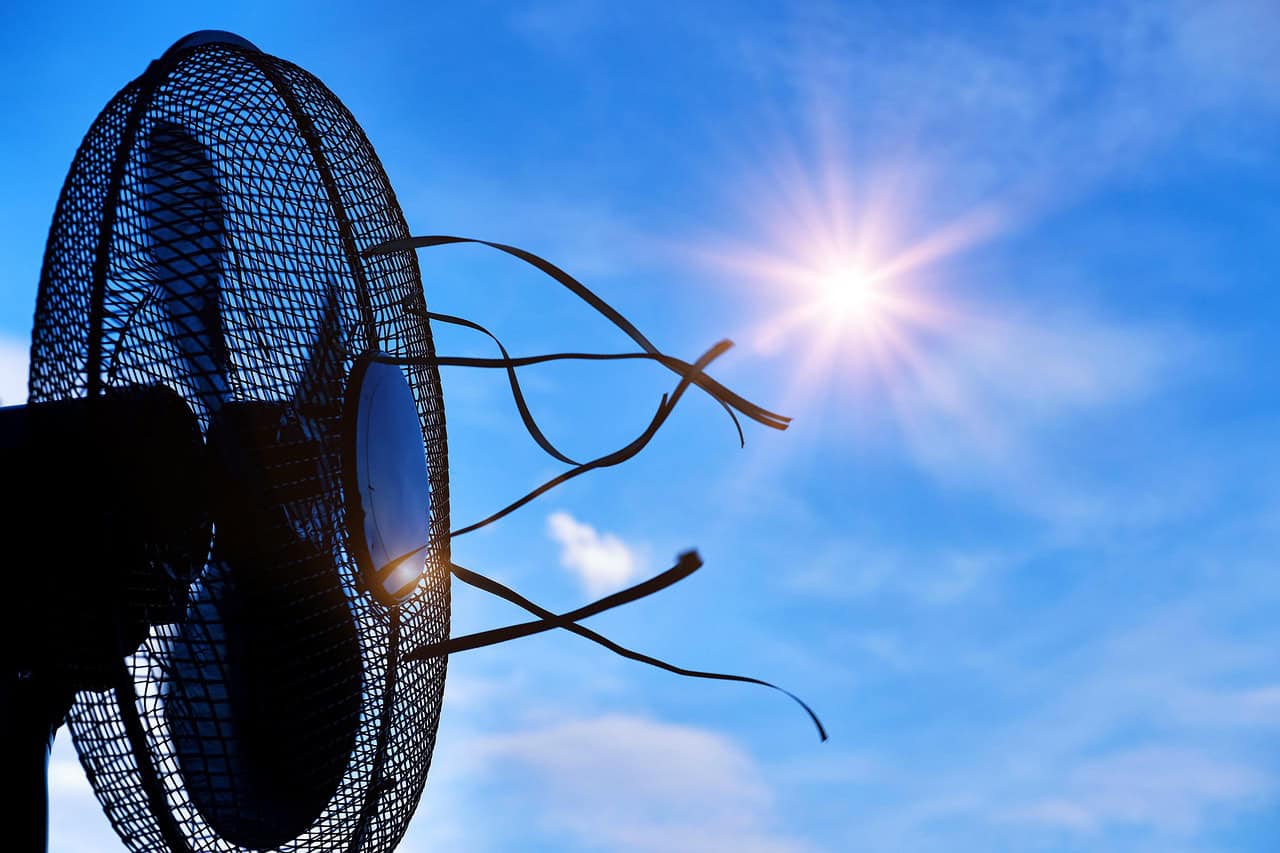 "Half the world faced an extra month of extreme heat due to climate change: study