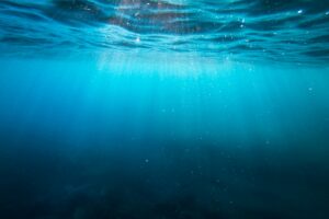 Chinese sub discovers deepest-ever creatures 10 km undersea
