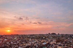 New plastic pollution treaty draft text immediately rejected by several states
