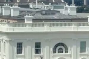 mystery items white house window video
