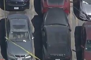 Rotting body found in US rapper's Tesla in Hollywood