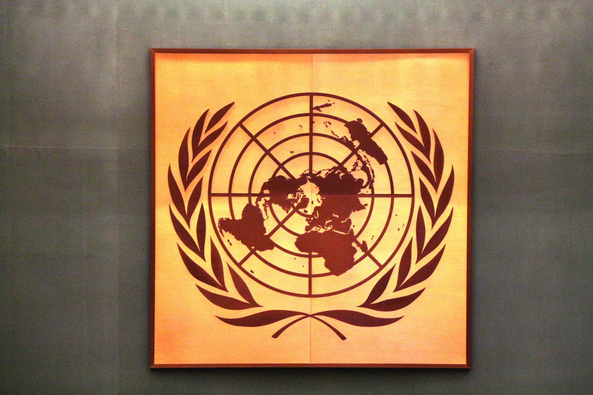 WHO says good cooperation with US on hantavirus, despite withdrawal