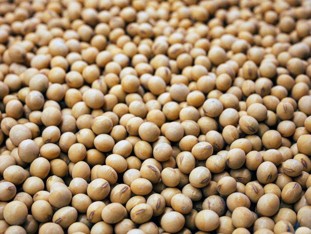 Trump says China to buy 'tremendous amounts' of US soybeans