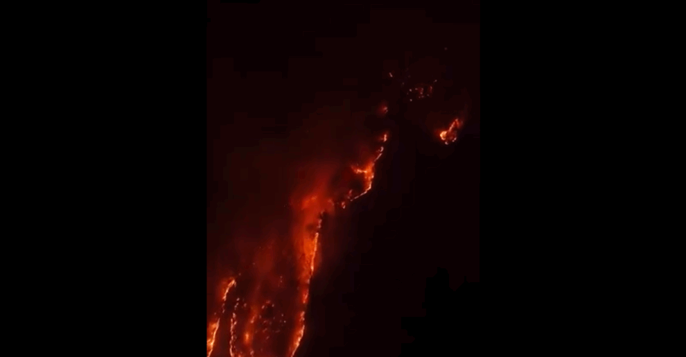 Iran bans access to most forests after fire in UNESCO-listed site