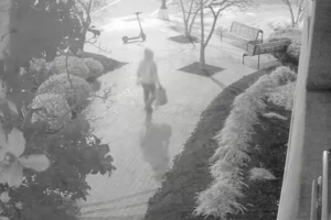 Suspect arrested in US capital pipe bomb case: media