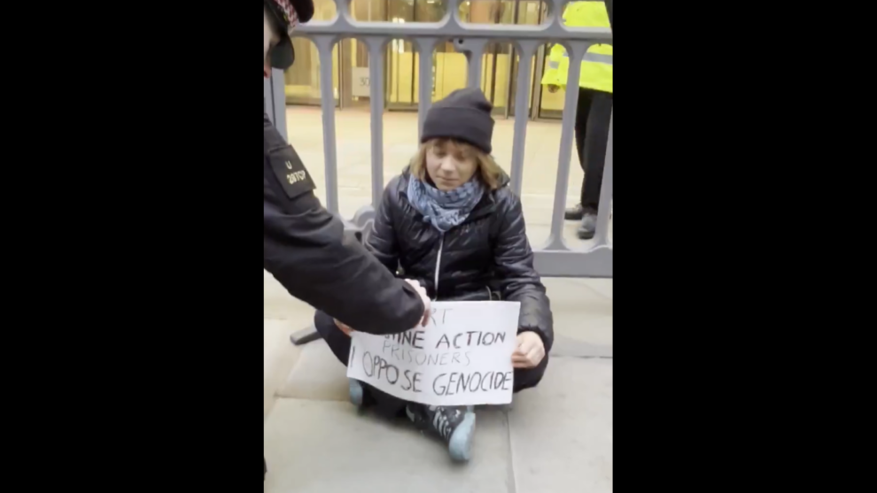 Greta Thunberg arrested at pro-Palestinian protest in London