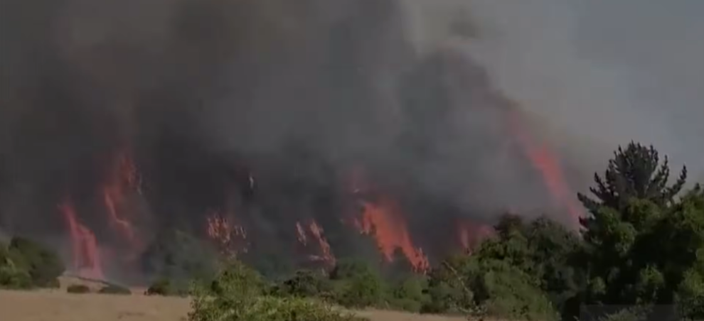 Chile wildfires rage for third day, entire towns wiped out
