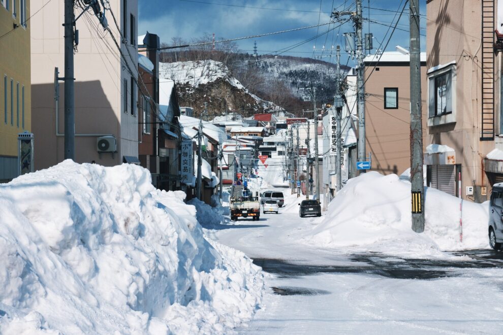 "Death toll from heavy Japan snow hits 30"