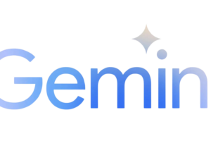Gemini download and export ZIP or PDF files