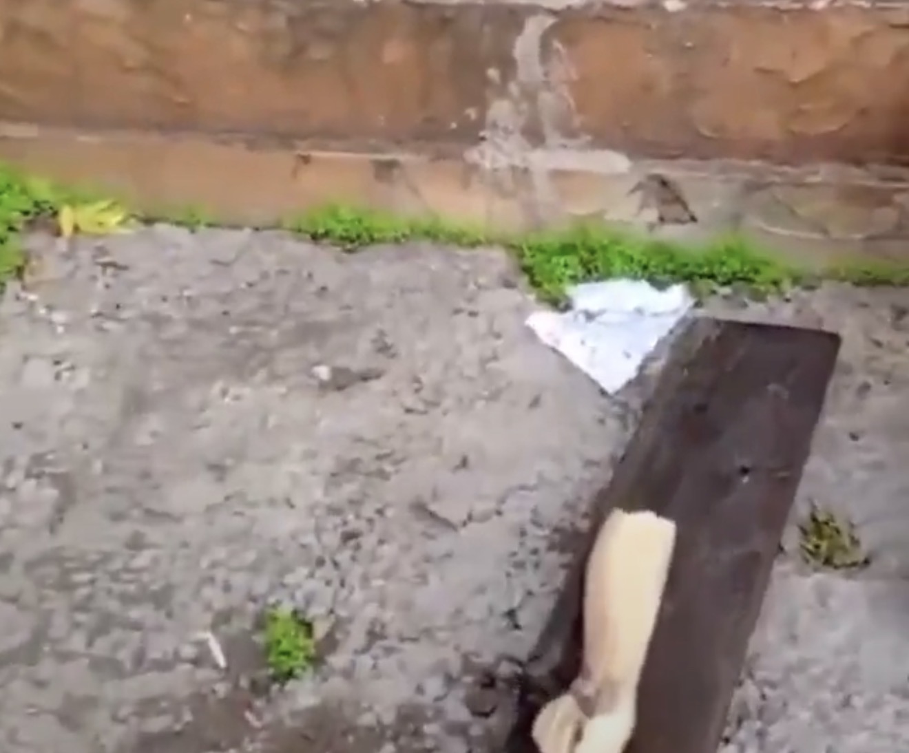 Israel says image of soldier striking Jesus statue in Lebanon is authentic